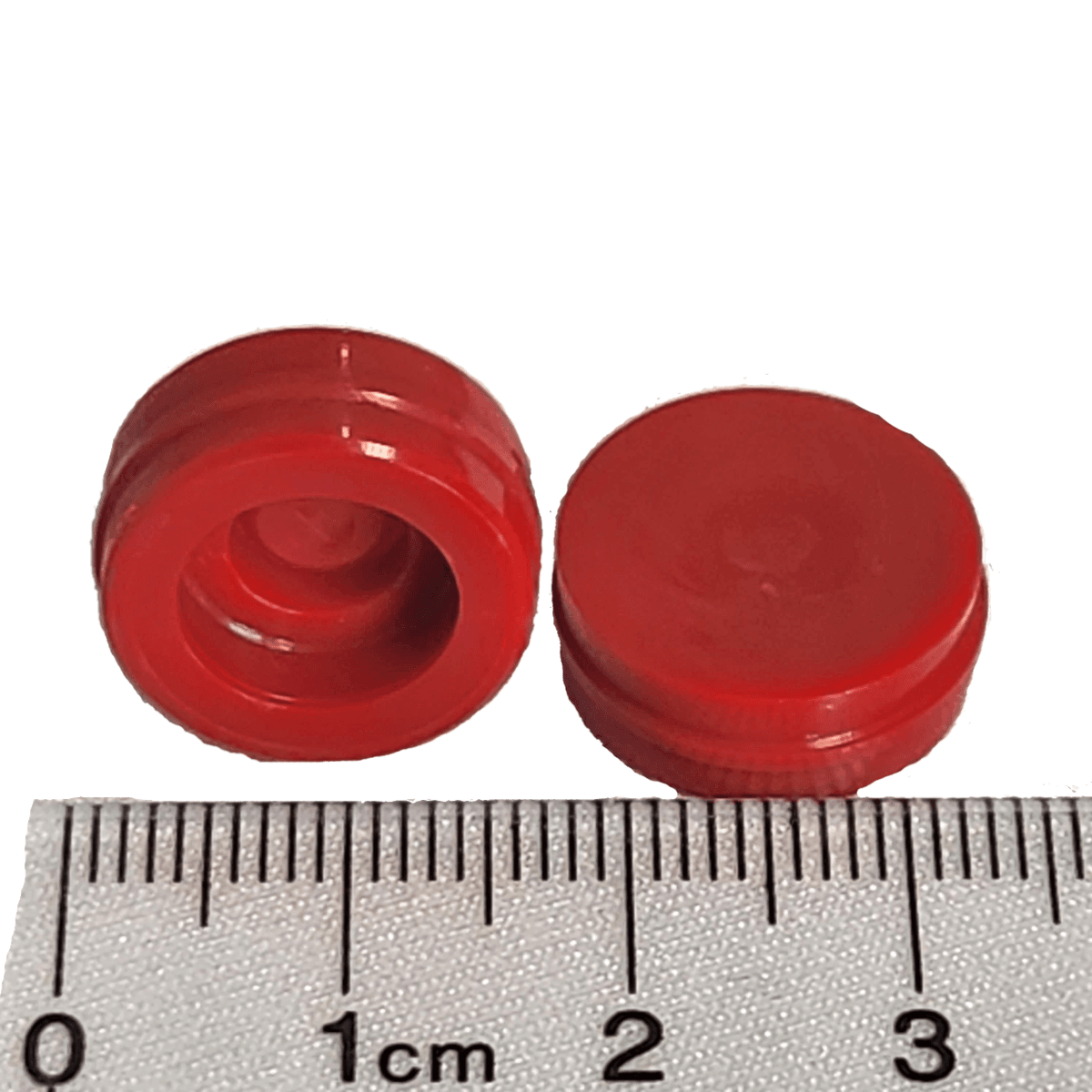 Snap Seal #3